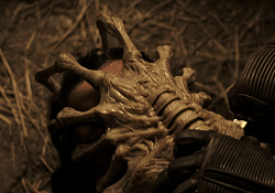 A facehugger removal in process