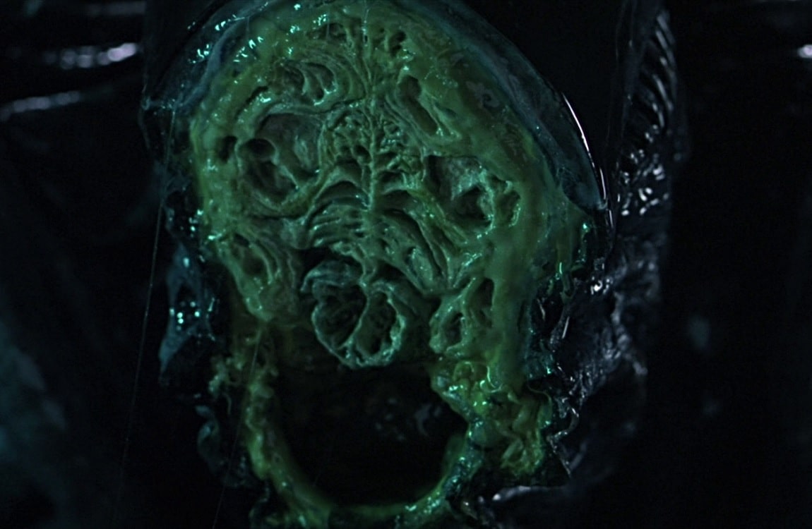 A Xenomorph head cut in half, revealing its brain