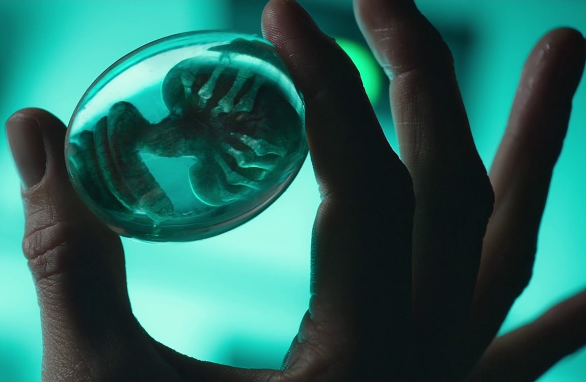 A miniature Xenomorph egg held by David at the end of Alien: Covenant