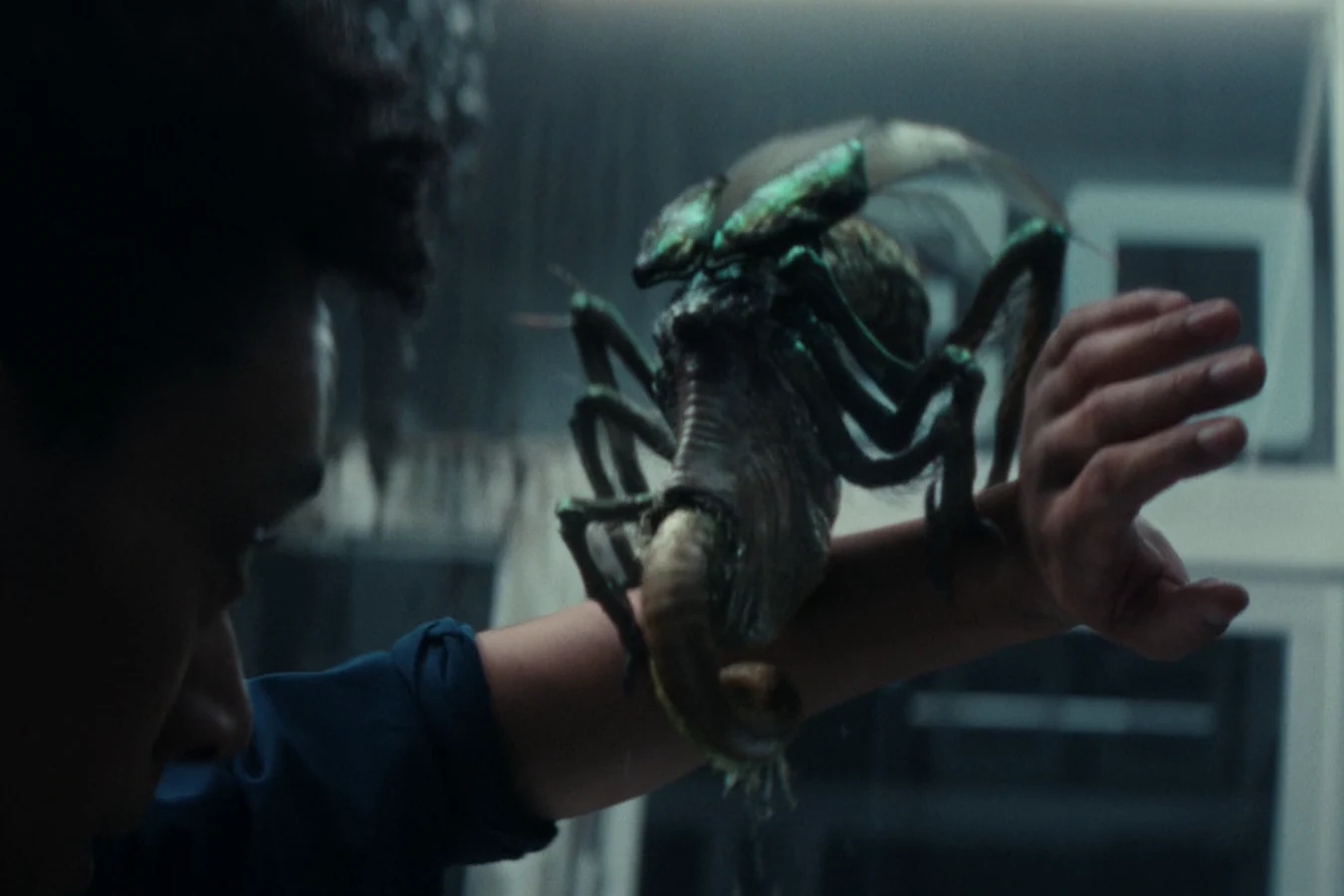 An Alien: Earth Fly latched onto a hybrid's arm in the Prodigy lab