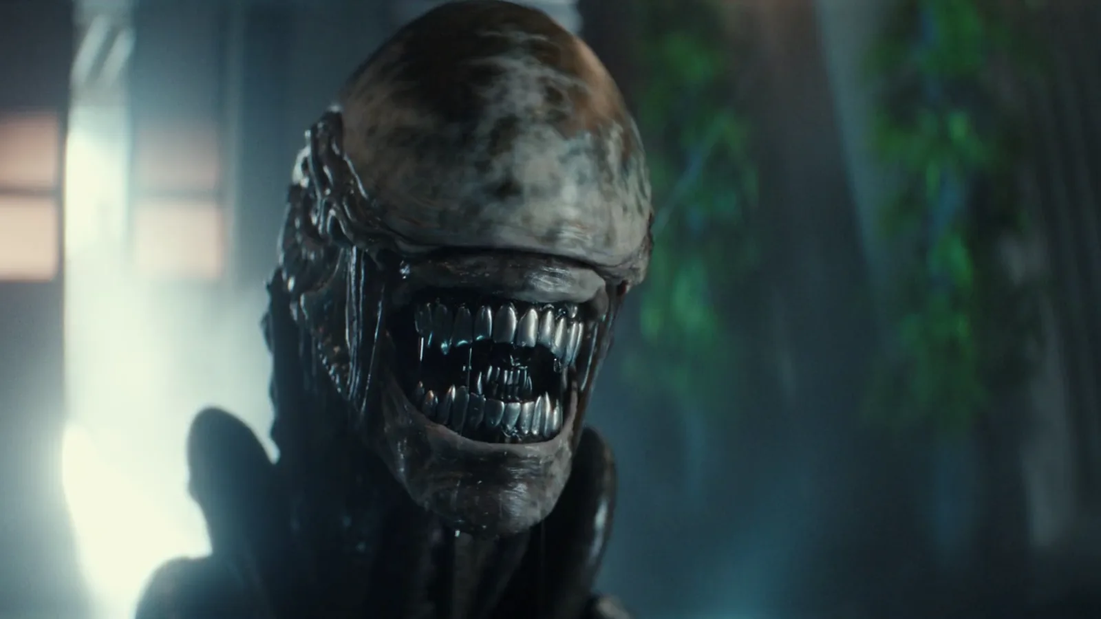 A Xenomorph from Alien: Earth