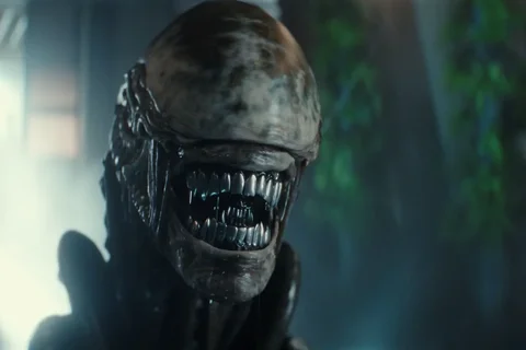 A Xenomorph from Alien: Earth
