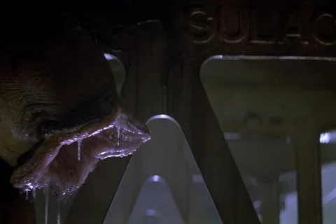 An Alien Egg Inside Sulaco from Alien 3