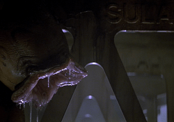 An Alien Egg Inside Sulaco from Alien 3