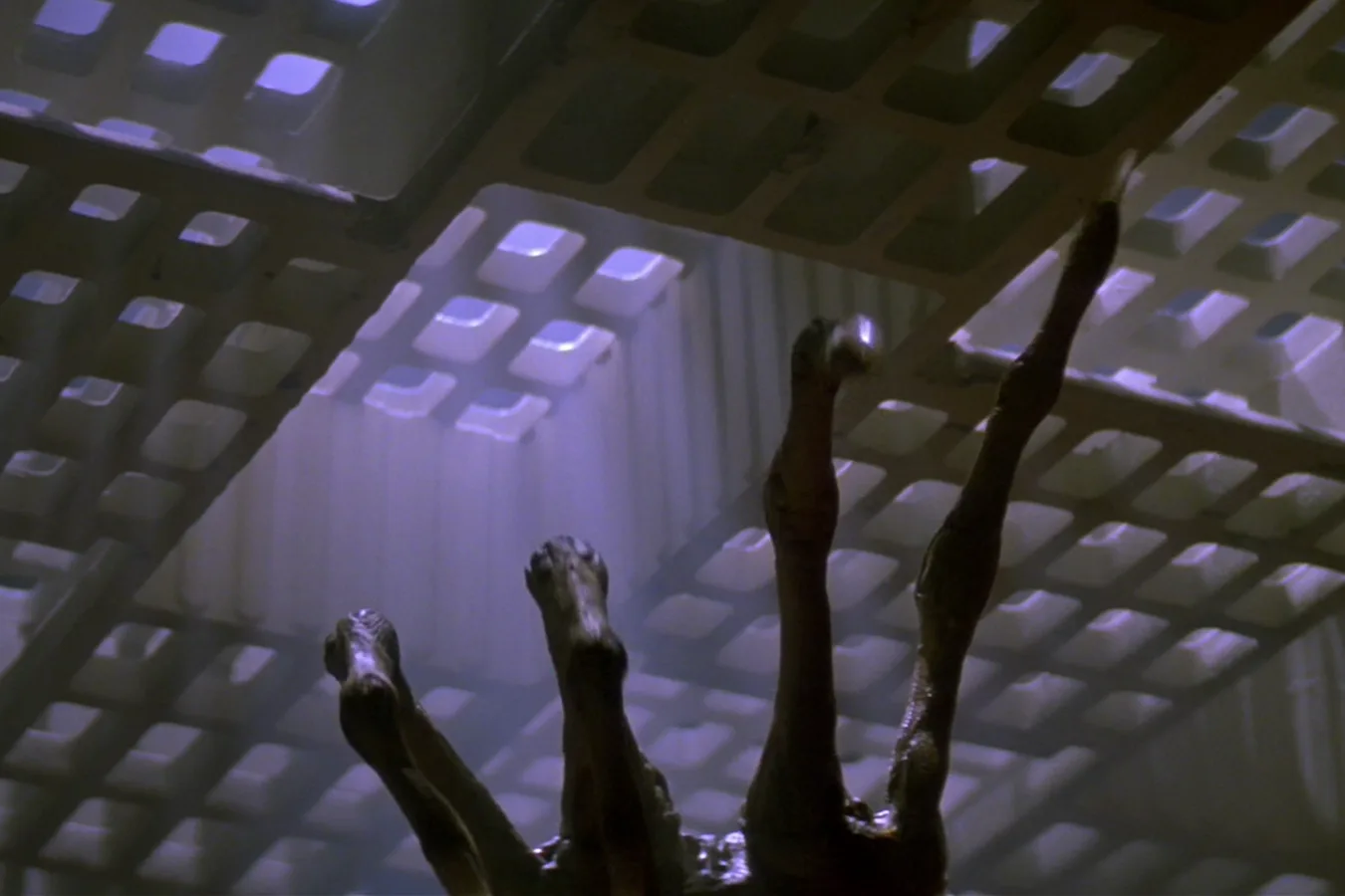A Facehugger aboard the USS Sulaco