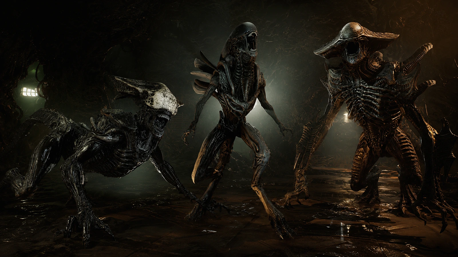 New enemy types from Aliens Fireteam Elite 2