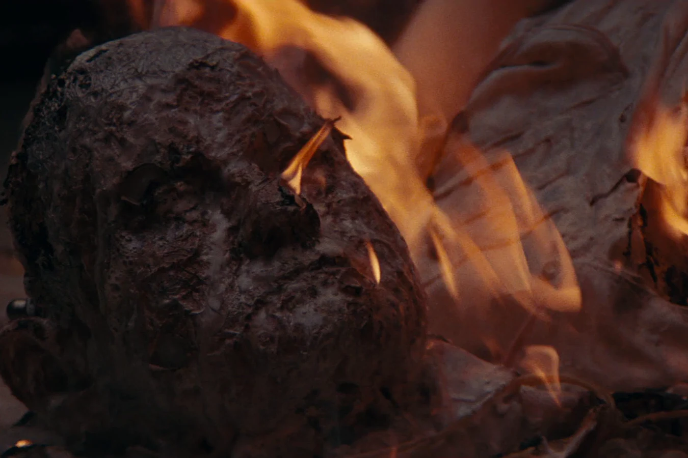 Ash's severed head burning after the Nostromo crew wrecked him