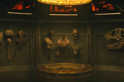 The Badlands trophy wall from Predator: Badlands