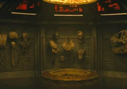 The Trophy Wall from Predator: Badlands
