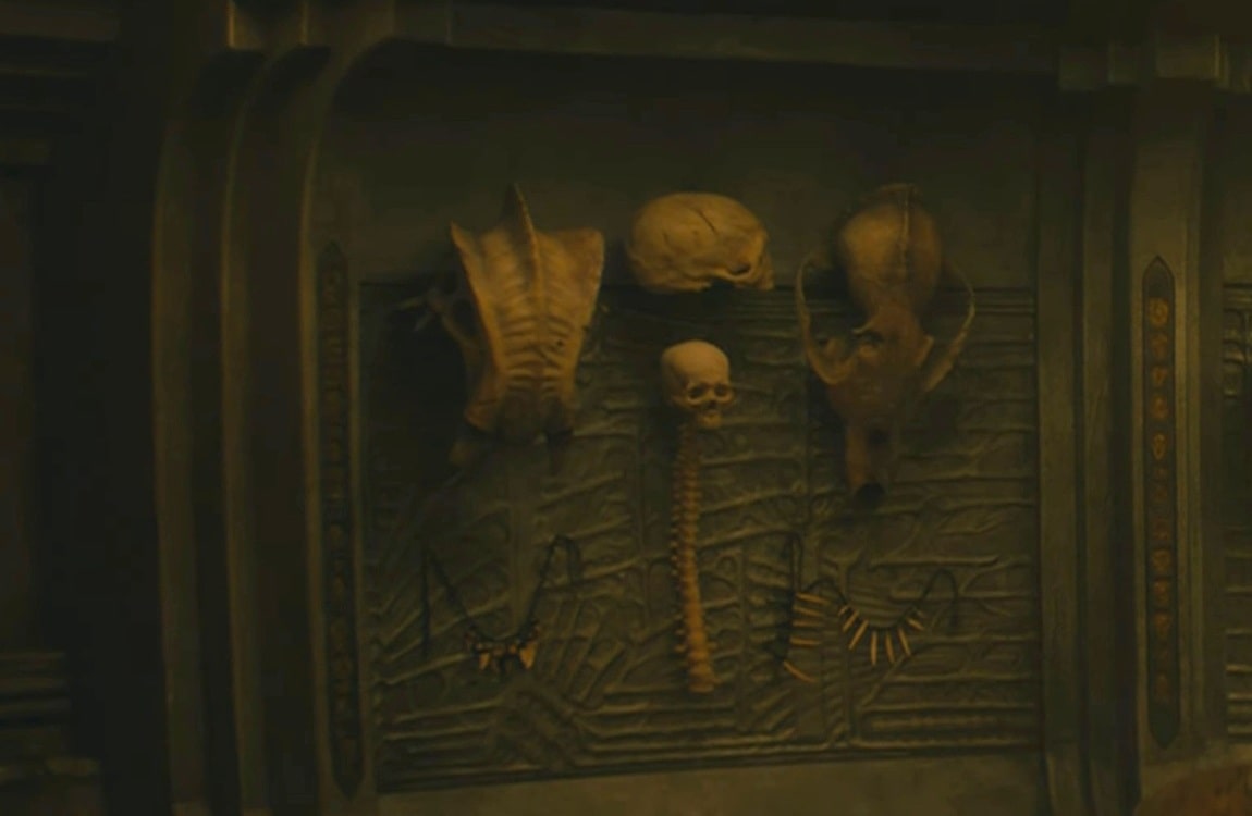 The Skulls on the left side of the wall, including a human skull