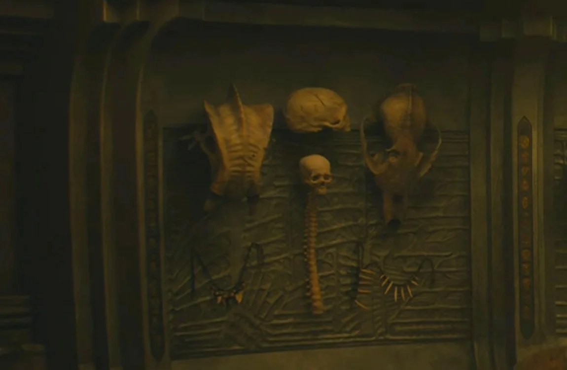 The Skulls on the left side of the wall, including a human skull