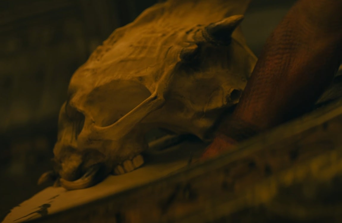 A Yautja Skull