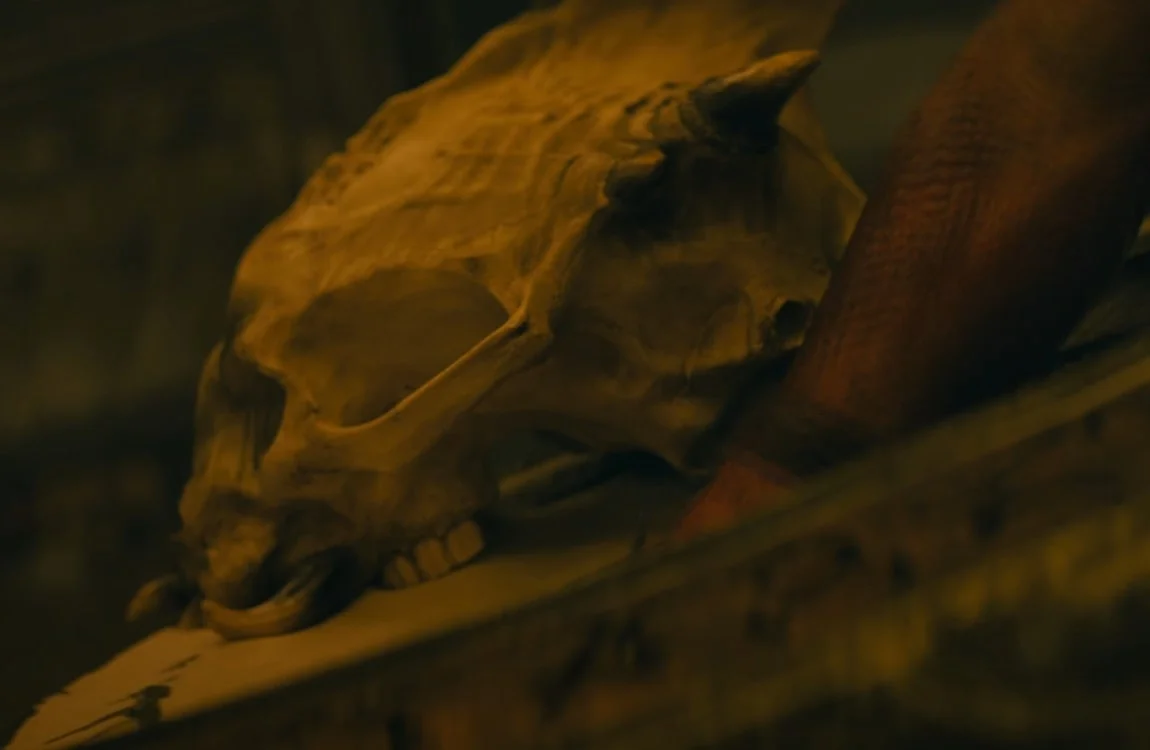 A Yautja Skull