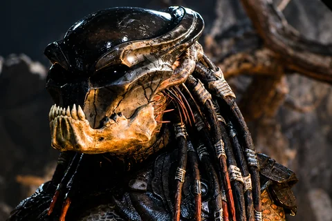 The Berserker Predator from Predators (2010)