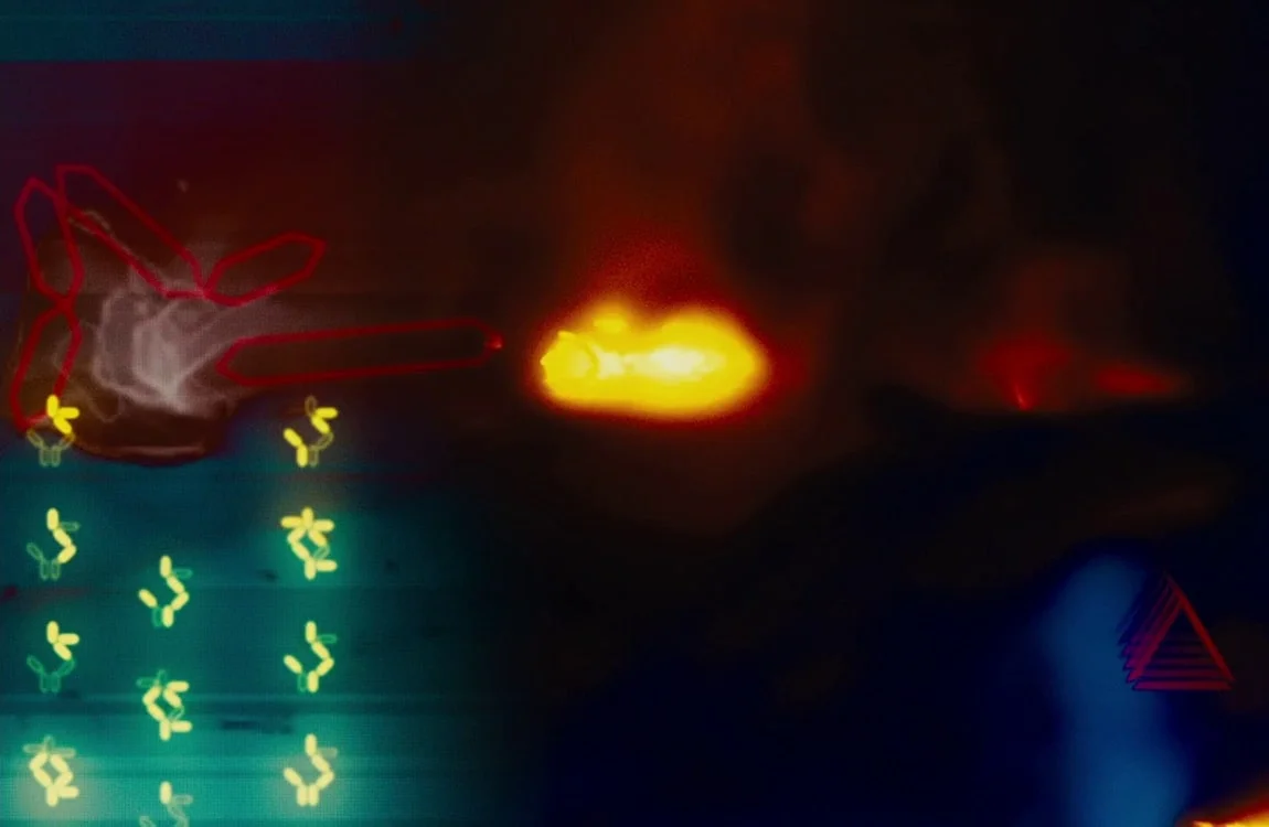 The vision of Berserker Predator