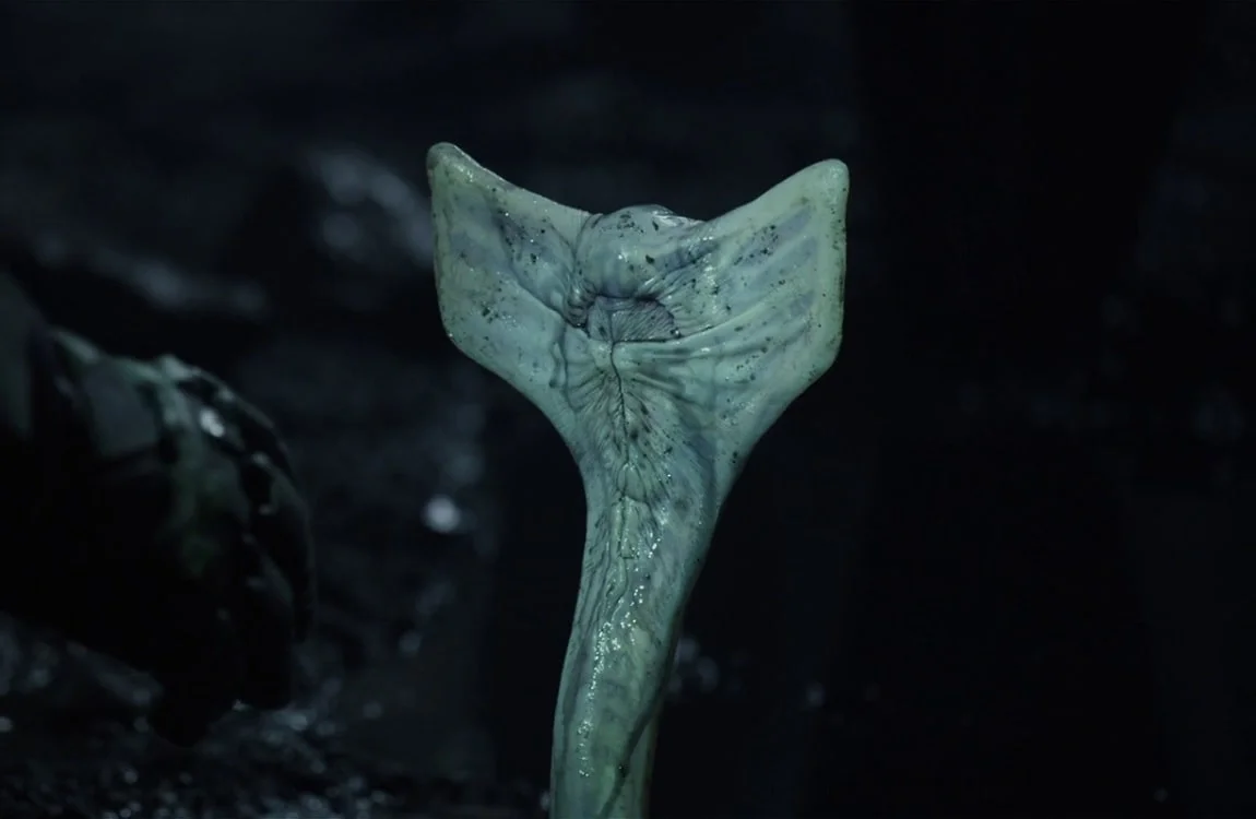 The Hammerpede from Prometheus