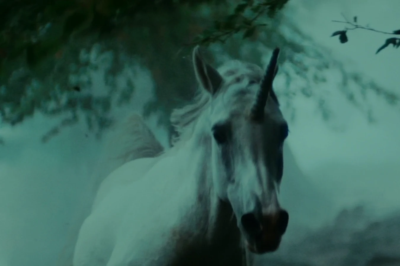 A white unicorn in fog from Deckard's dream in Blade Runner