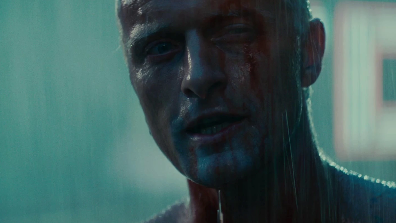 Rutger Hauer as Roy Batty, shirtless and bloodied in the rain on the rooftop in Blade Runner
