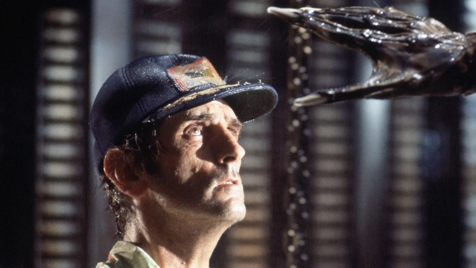 Brett looks up at the adult Xenomorph's hand in the landing-leg bay in Alien