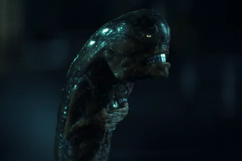 A chestburster emerges in Alien: Earth