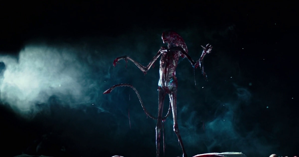 Chestburster Types Every Variant Of Infant Xenomorphs AvP Central