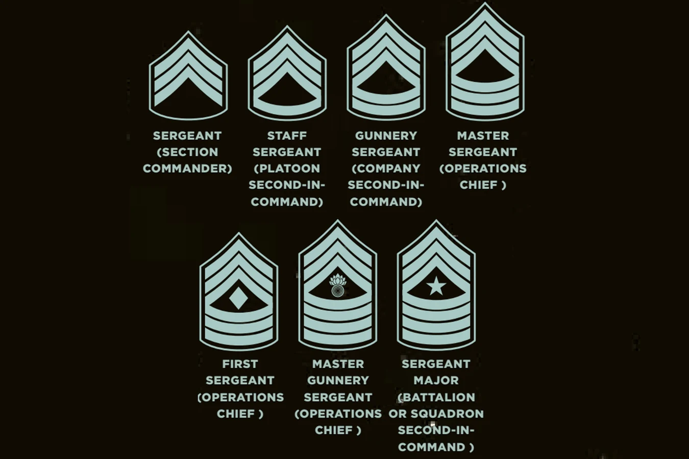 Colonial Marine platoon organization and rank insignia from the Colonial Marines Operations Manual
