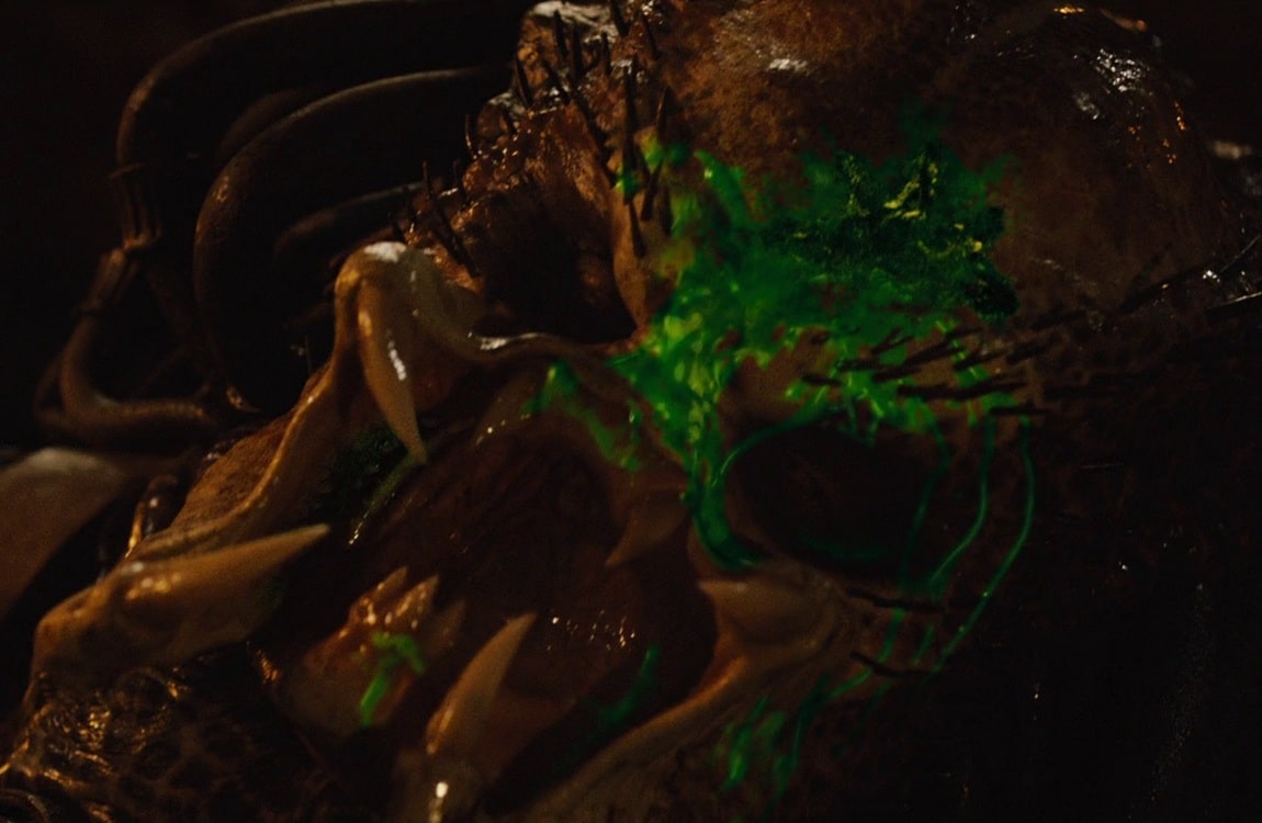 The death of Crucified Predator