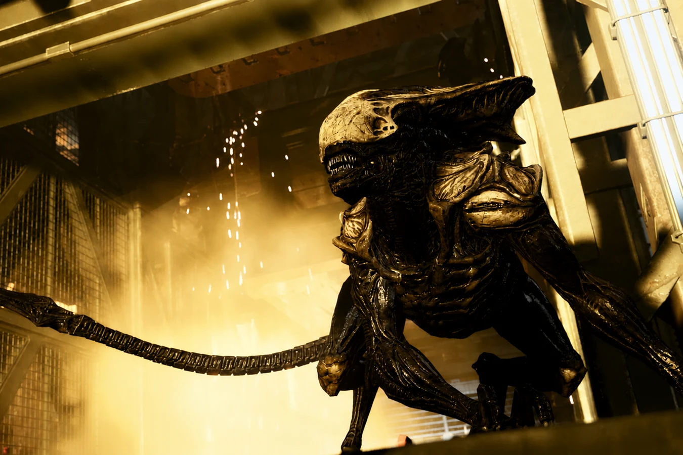 Crusher Xenomorph crouched in an industrial bay, pale crest and shoulder plates catching yellow light