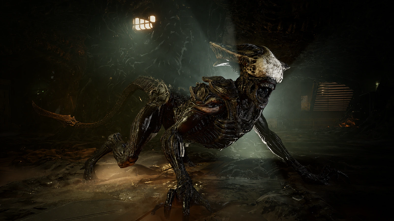 Crusher Xenomorph in a hive corridor with its plated skull crest raised