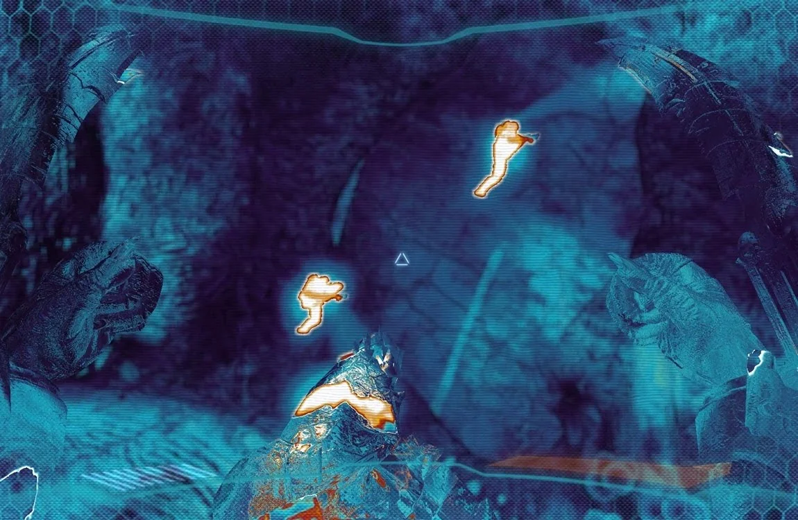 A vision mode of Dark Predator from AvP 2010