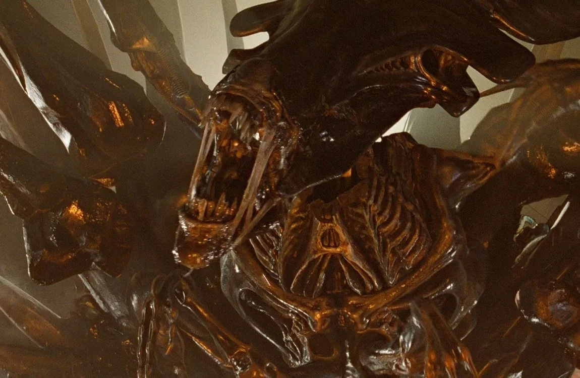 Purebreed and transbreed Xenomorph forms