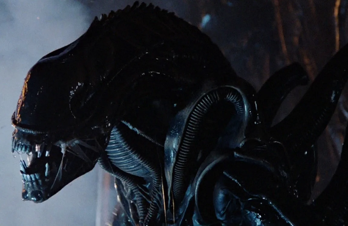 The ridged-head Xenomorph Warrior from Aliens