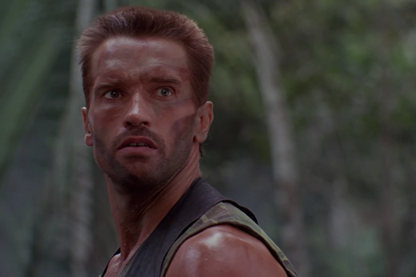Dutch Schaefer in the jungle in Predator
