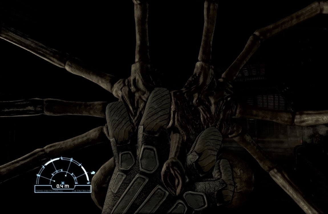 Facehugger Impregnation Stories