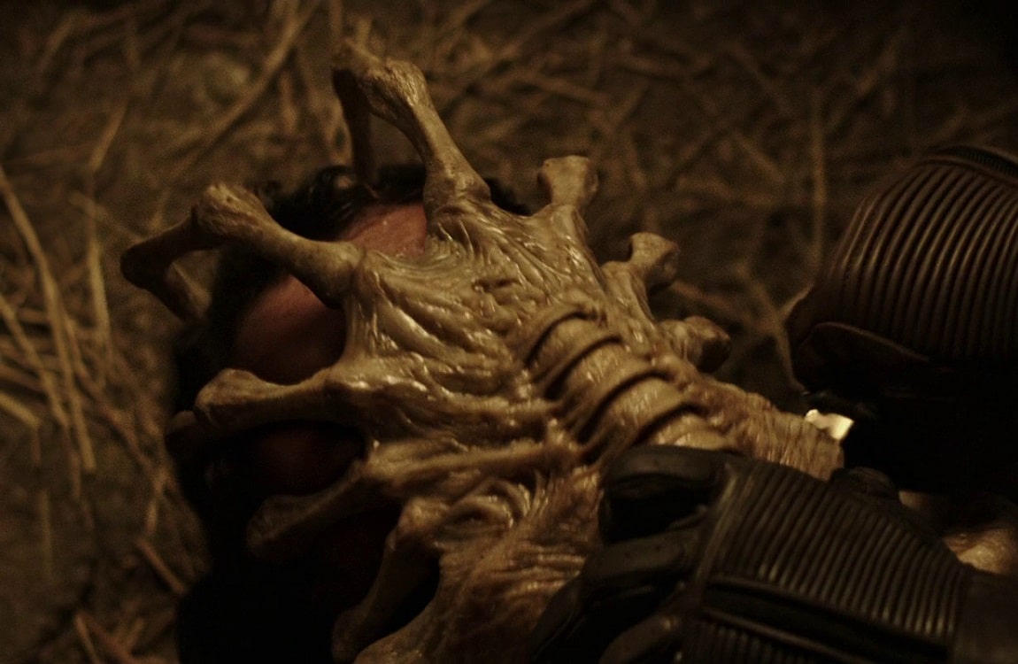 Facehugger Impregnation Stories