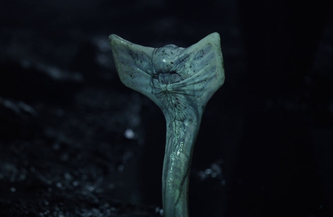 The Hammerpede from Prometheus