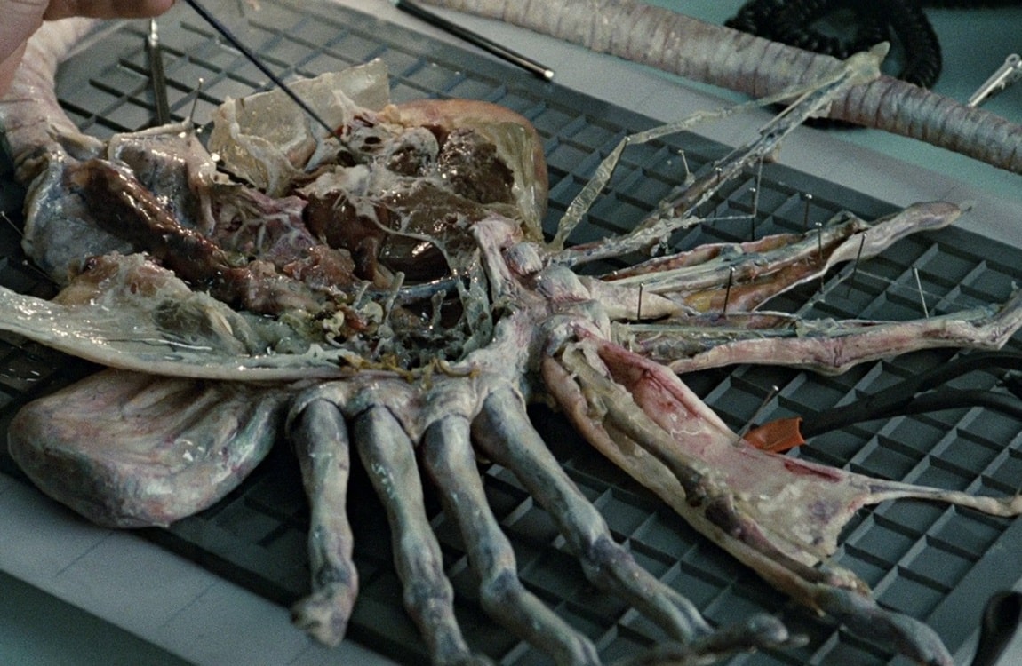 The facehugger is dissected by Bishop the android
