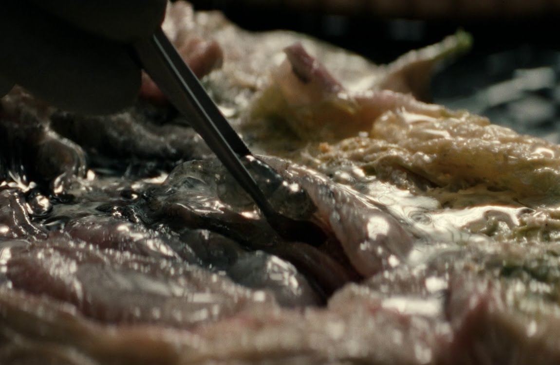 The facehugger's larva in Alien: Earth