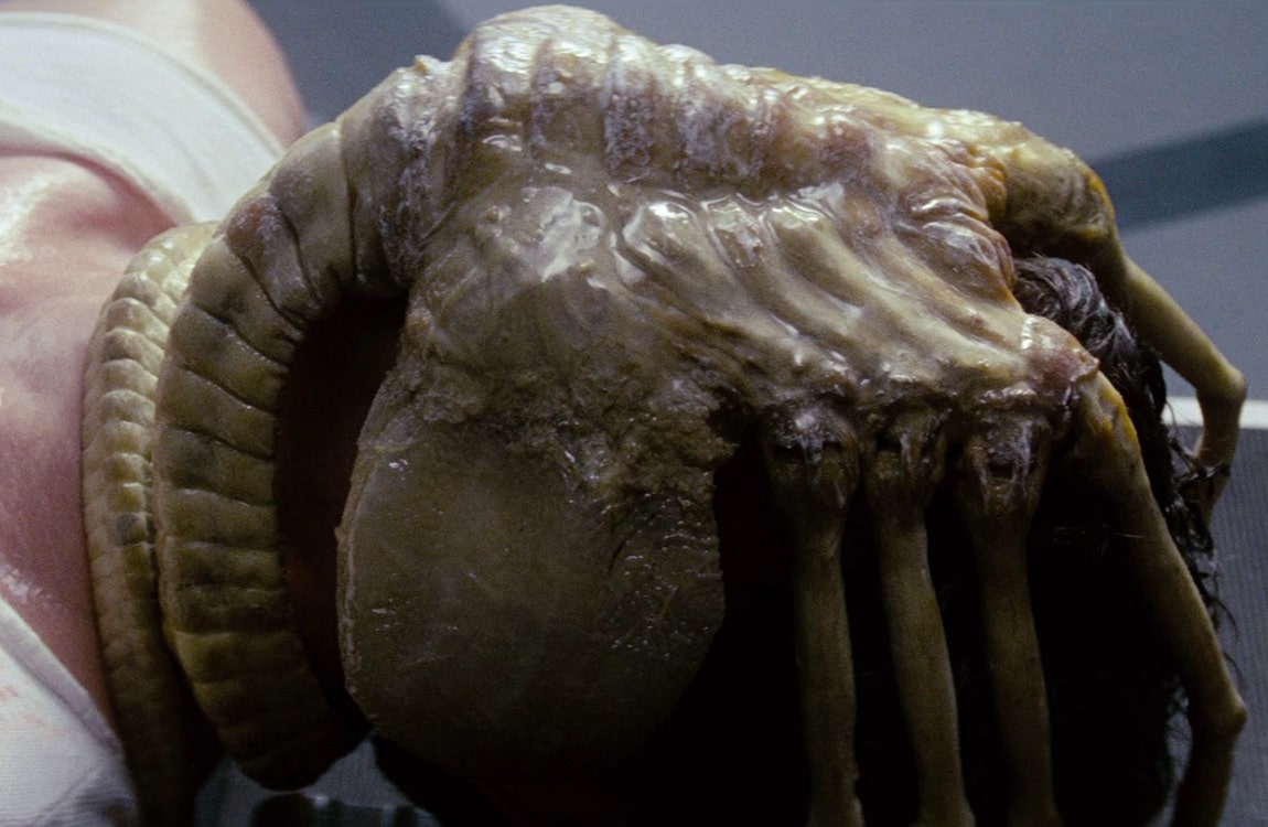 The regular Facehugger is attached to Kane