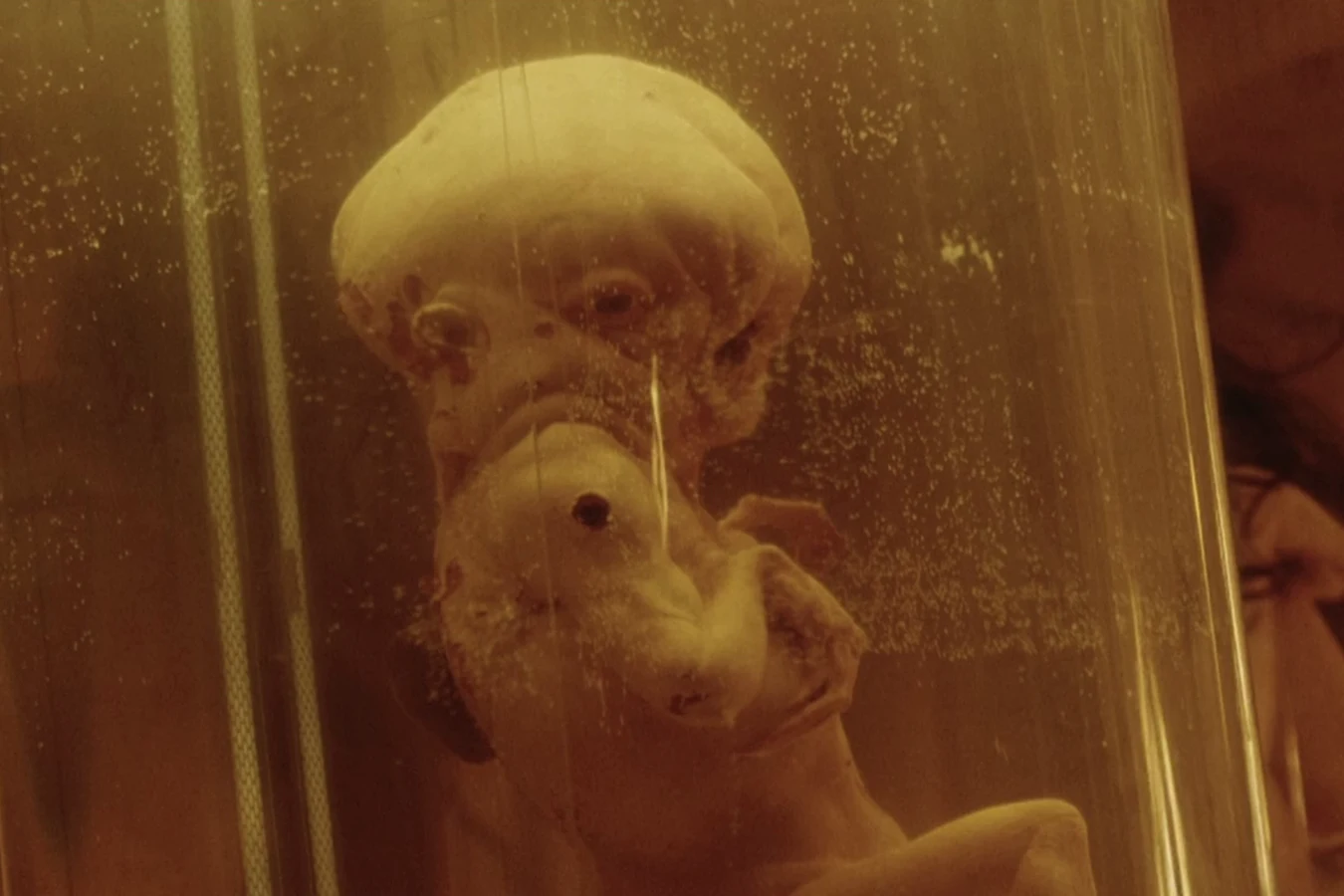 Ripley 2, a child-sized human-Alien hybrid