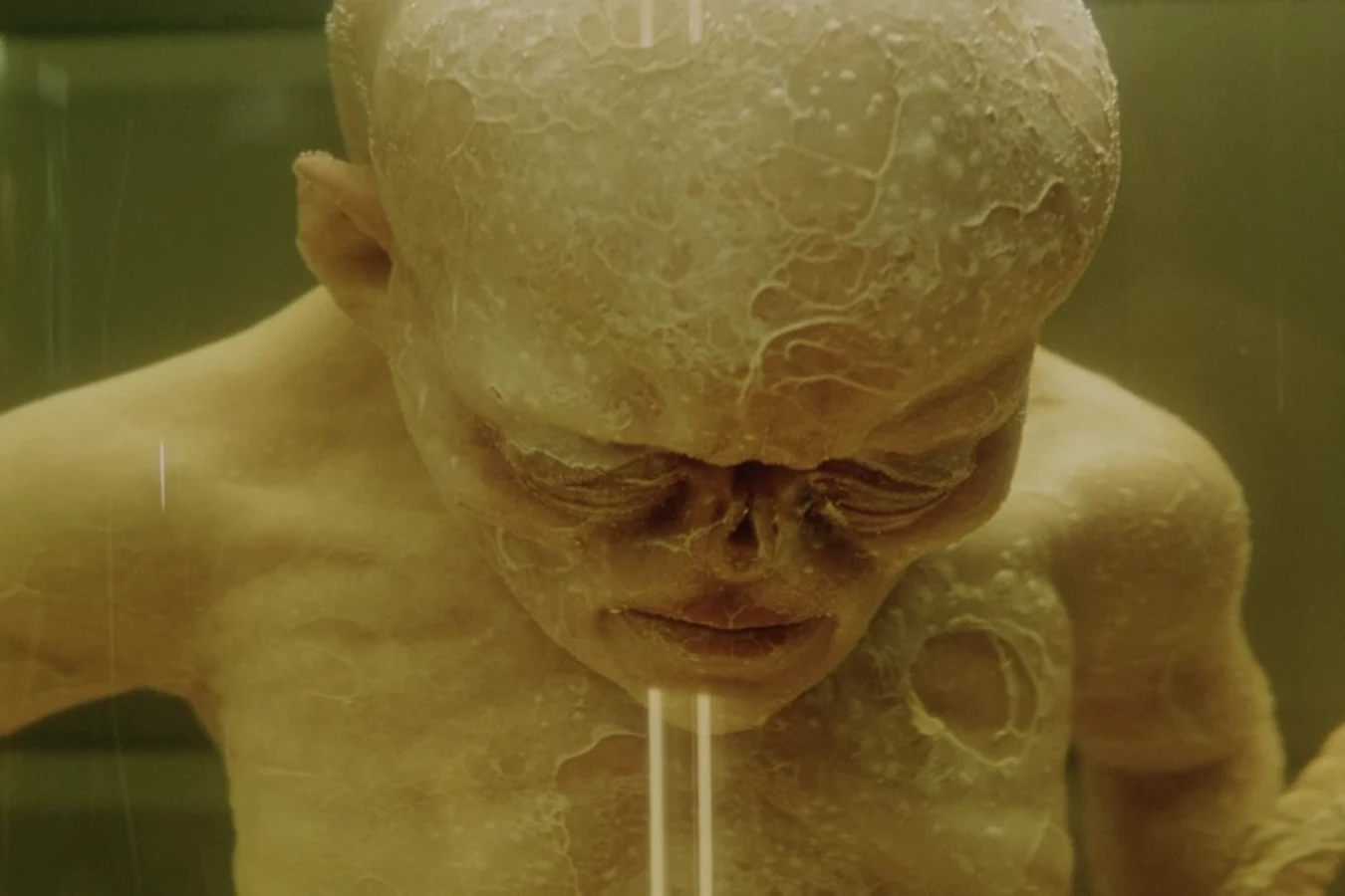 Ripley 3, a tailed specimen with no face