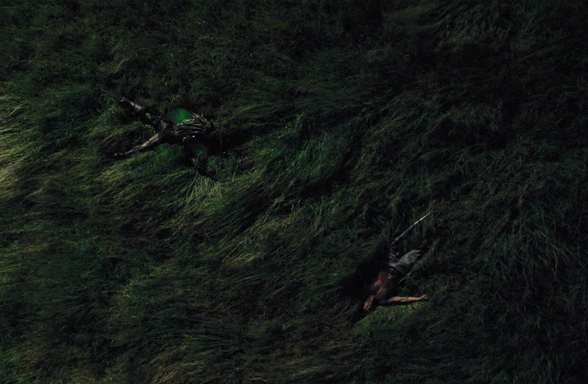 Falconer Predator dead on a field