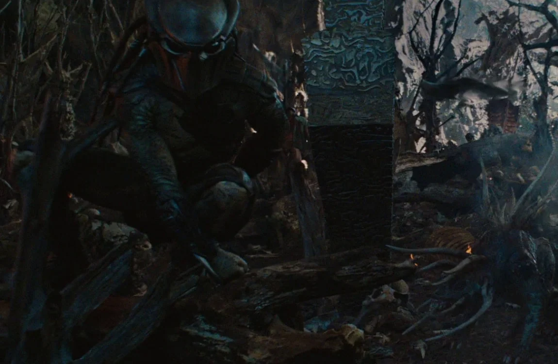 The Falconer Predator at the Super Predators campsite