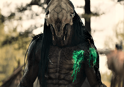 The Feral Predator from Prey