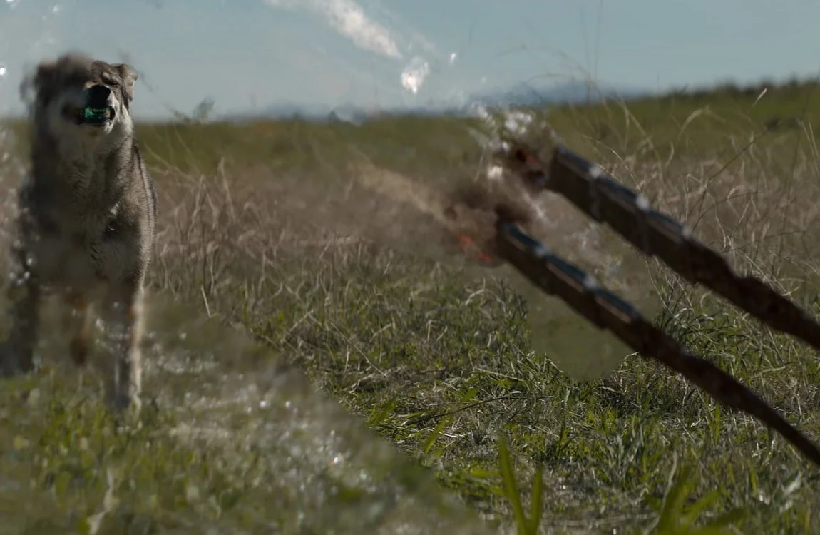 The Feral Predator hunts a wolf with his wristblades