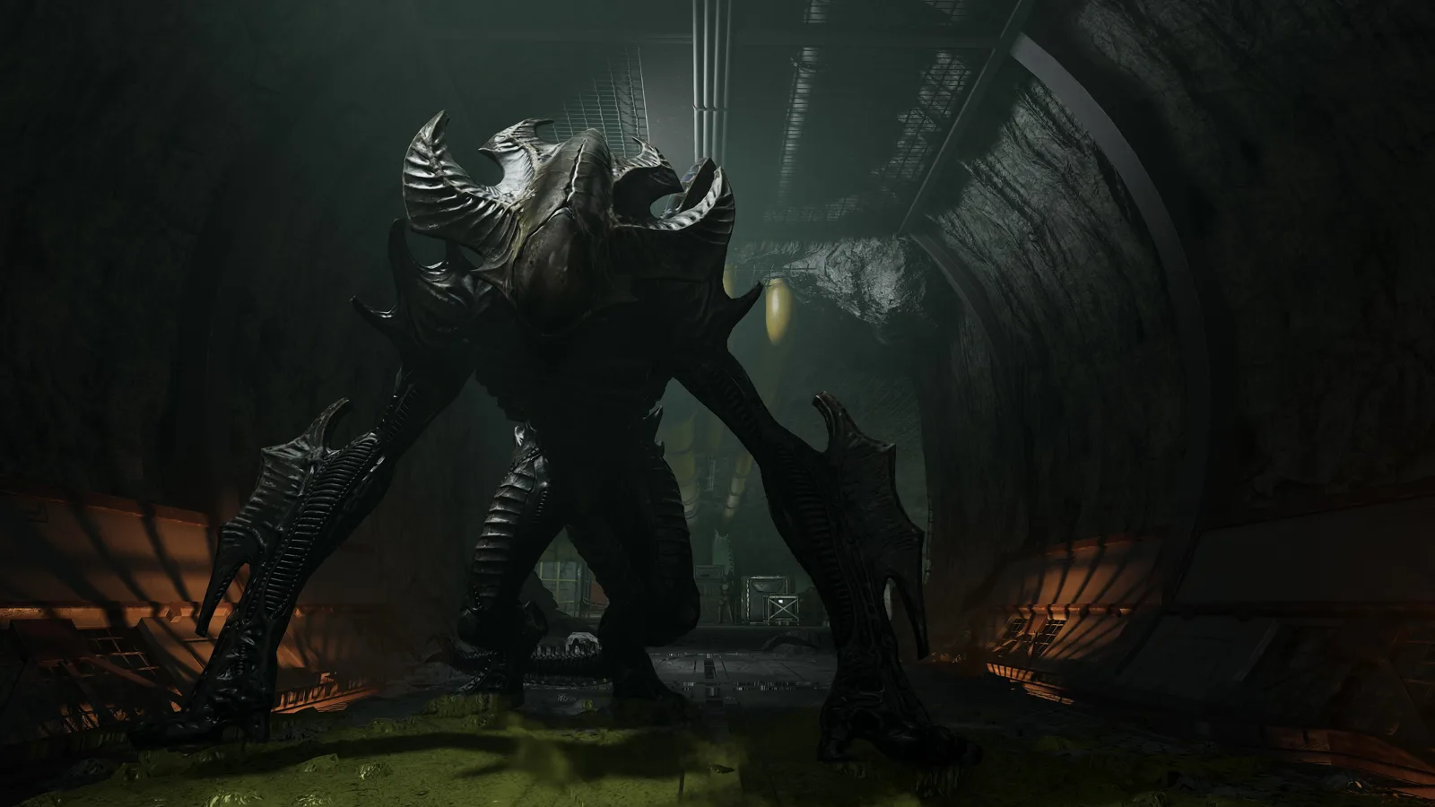 The Warden Xenomorph from Aliens Fireteam Elite 2