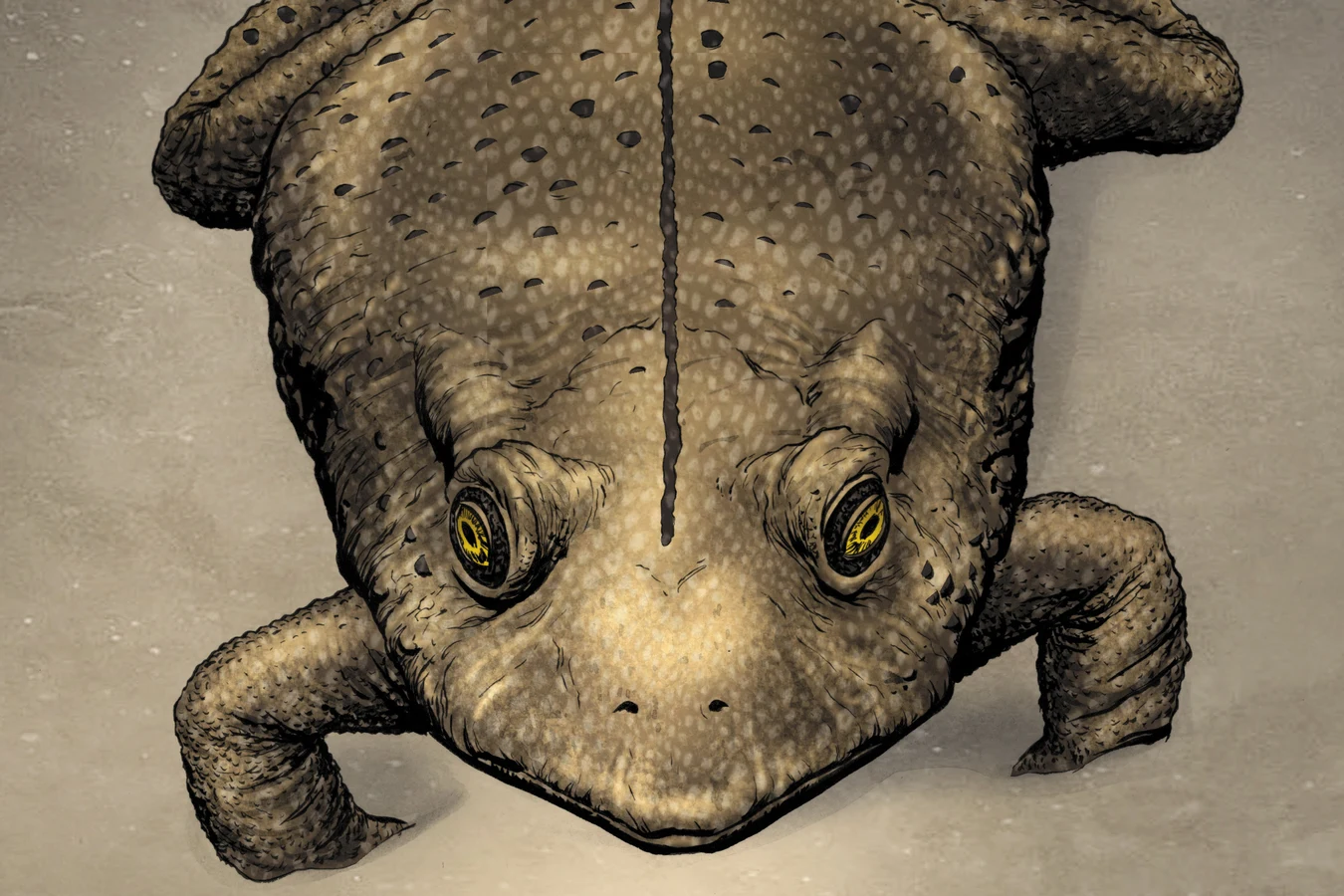 Rick Deckard discovering a toad in the desert sand in BOOM! Studios' Do Androids Dream of Electric Sheep?