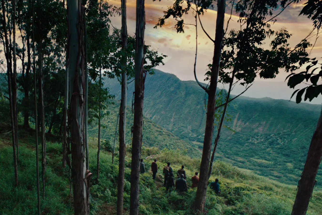 The jungle forest on the Predator Game Preserve Planet