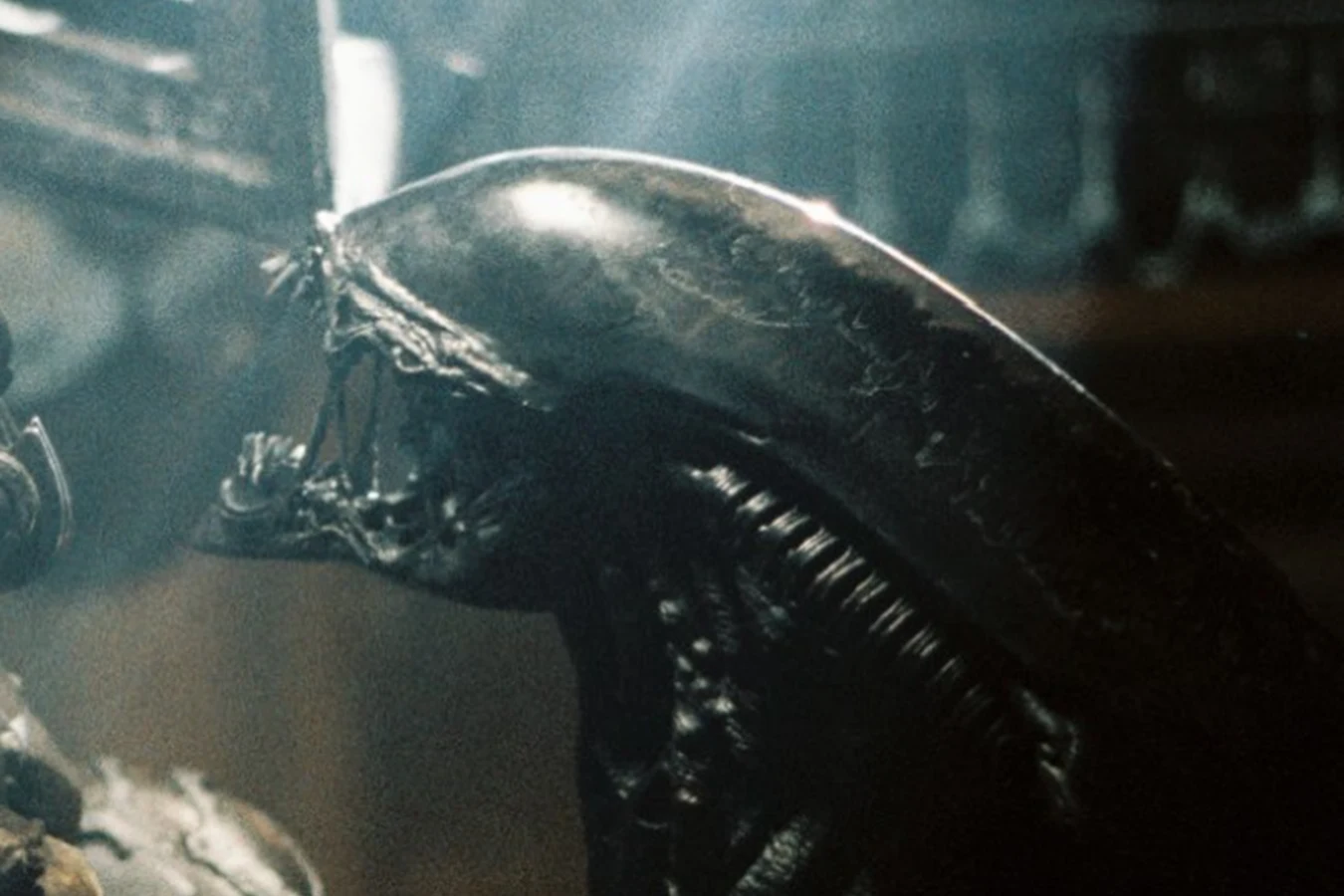 Grid Alien facing a Predator in Alien vs. Predator