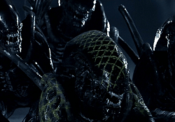 The Grid Alien leads other Xenomorphs to battle